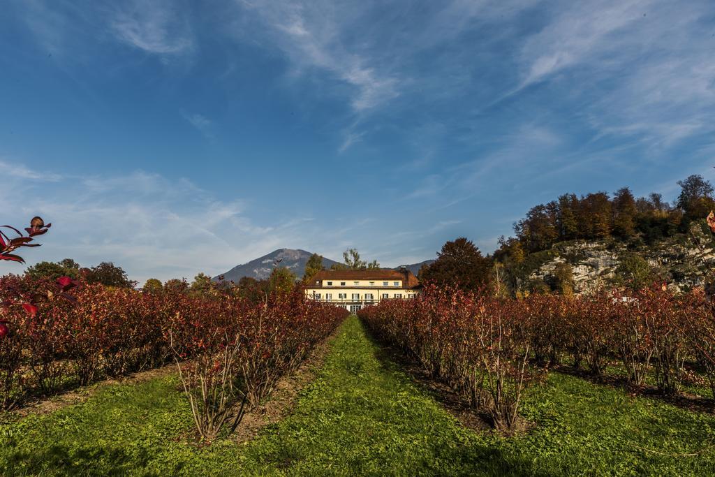 Villa Flora Anif Exterior foto